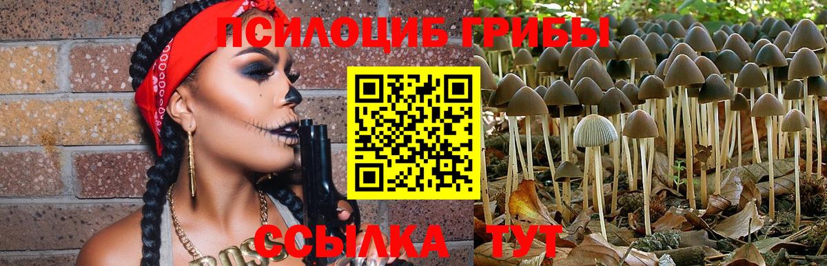 Галлюциногенные грибы Magic Shrooms  Вход с VPN  Сальск  Псилоцибиновые грибы мухоморы 